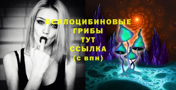ГАЛЛЮЦИНОГЕННЫЕ ГРИБЫ Абинск