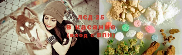 ГАЛЛЮЦИНОГЕННЫЕ ГРИБЫ Абинск