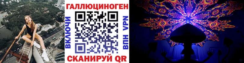 Псилоцибиновые грибы Psilocybine cubensis Жигулёвск
